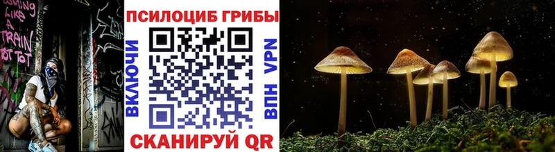 shop формула  Суровикино  Галлюциногенные грибы Magic Shrooms 